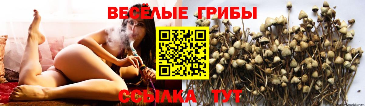 Галлюциногенные грибы MAGIC MUSHROOMS Лангепас